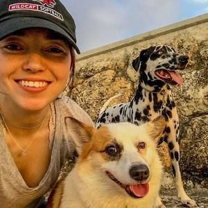 Meet your Posher, Remy